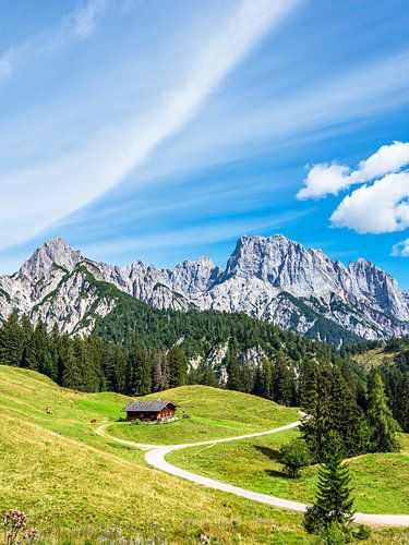 Gezicht op de Litzlalm met hut in Oostenrijk