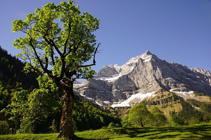 Großer Ahornboden in der Eng bei Hinterriß – beeindruckende Alpenlandschaft im Karwendel. Jetzt Wandbild oder Leinwand kaufen und Bergidylle erleben. von Miriam Schwarzfischer Fotografie