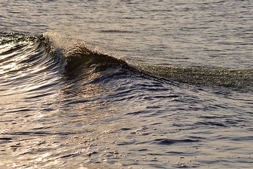 Vague dans le soleil couchant