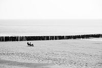 Breakwaters along the coast near Zoutelande
