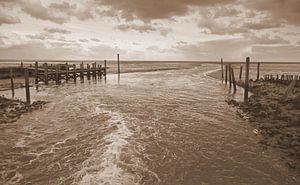 Der Slufter ( Texel ) in Sepia