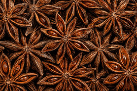 Geometrie des Sternanis – Indonesien von Vínculae