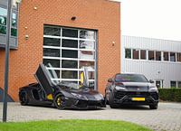 Blacked Out Lamborghini Aventador & Urus
