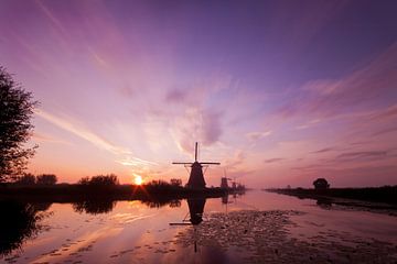 Lila Dunst in Kinderdijk von Halma Fotografie