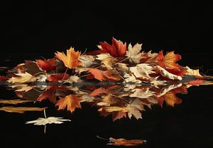 Laubblätter in Herbstfarben