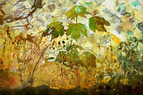 Liquid Green by Jeannet Zwols  Fotografie