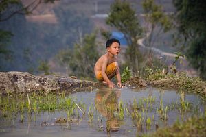 Vietnamesisches Kind, das auf dem Reisgebiet - Sa Pa, Vietnam spielt von Thijs van den Broek