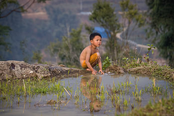 Vietnamees kind spelend in rijst veld - Sa Pa, Vietnam