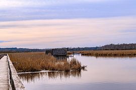 BADEN-WÜRTTEMBERG : BAD BUCHAU - FEDERSEE by Photoart-Naegele