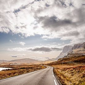Curvy road in the Norwegian high mountains by Benjamien t'Kindt