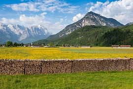 Farchanter Frühling by Andreas Müller