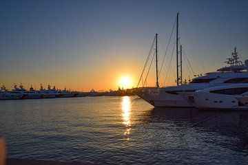 Zonsondergang bij Flisvos Marina van Ingrid de Vos - Boom