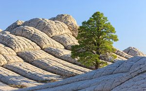 White Pocket, Arizona