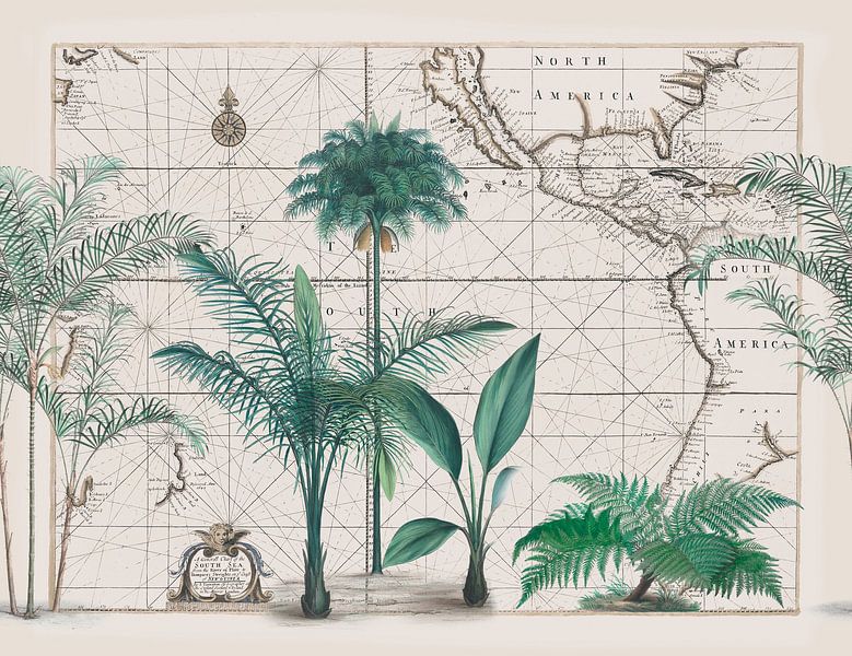 South Seas adventure by Andrea Haase