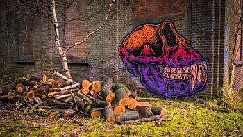 De oude steenfabriek deel 2