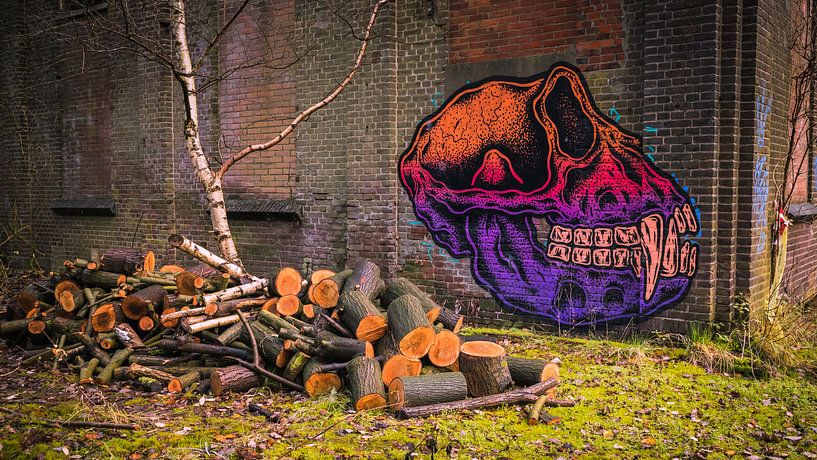 The old brickworks part 3 by Brigitte Blaauw