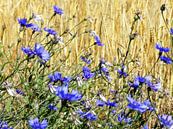 Blaue Blumen von Jellie van Althuis Miniaturansicht