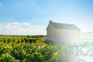 Photo sketch French barn in wine region