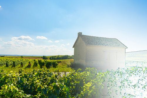 Photo croquis Grange française dans une région viticole