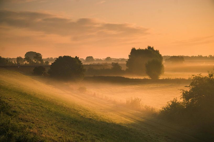 Sunrise in the Ooij (fog) by Cocky Anderson