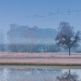 Witven sur eric joosten