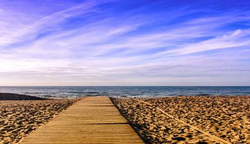Staring at the sea, North Sea beach, Koksijde by Manuel Declerck