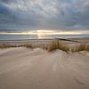 Duinen van Zoutelande van Jolanda de Leeuw