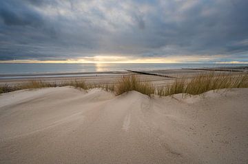 Duinen van Zoutelande
