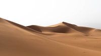 Sahara °6