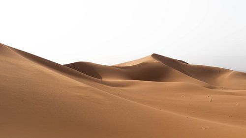 Sahara °6 sur mirrorlessphotographer