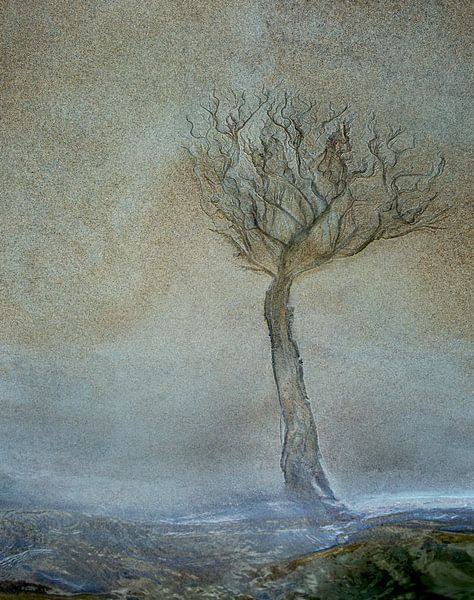 Lonely tree by Nel Talen
