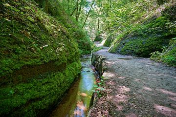 Sentier de randonnée et ruisseau à travers les gorges du Dragon près d'Eisenach sur Heiko Kueverling