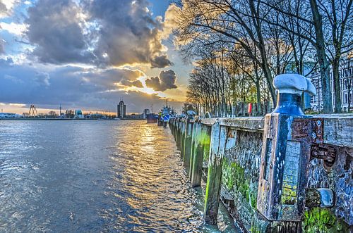 West Quay, Rotterdam