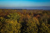 Aussicht auf den Rundwald von Jaap Mulder Miniaturansicht