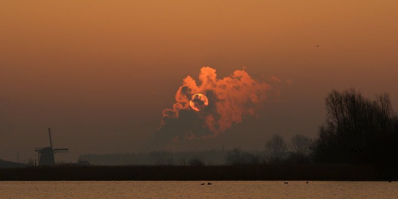 Gesluierd von Harro Jansz