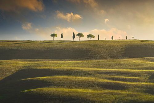 Collines ondulées, cyprès et pins. La Toscane