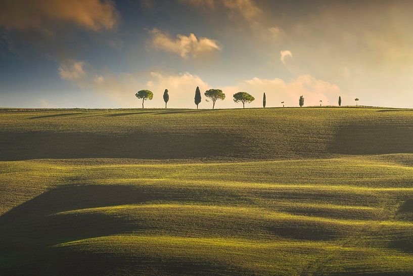 Glooiende heuvels, cipressen en pijnbomen. Toscane van Stefano Orazzini