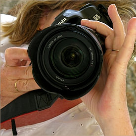 lieve maréchal profielfoto