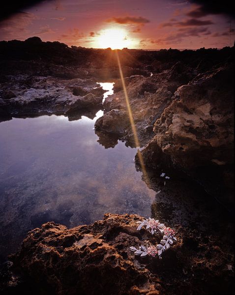 jewel in the caribbean 6 von ernst de groot