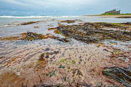 Paysage sur la côte dans l'est de l'Angleterre avec en arrière-plan le château de Bamburgh