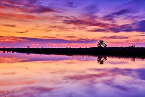 Evening reflections in the river