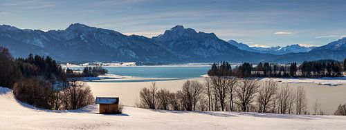 Panorama Forggensee in de winter, Beieren, Duitsland