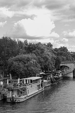 The Seine by Tom Vandenhende