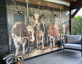 Photo de nos clients: Vaches dans une ancienne étable par Inge Jansen