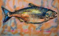 Wilde zalm