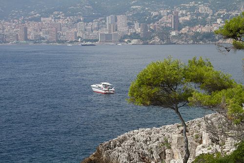 uitzicht op zee bij Roquebrune (tussen Menton en Monaco)
