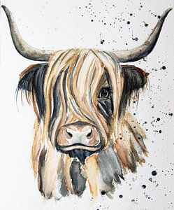 Schotse Hooglander aquarel in kleur
