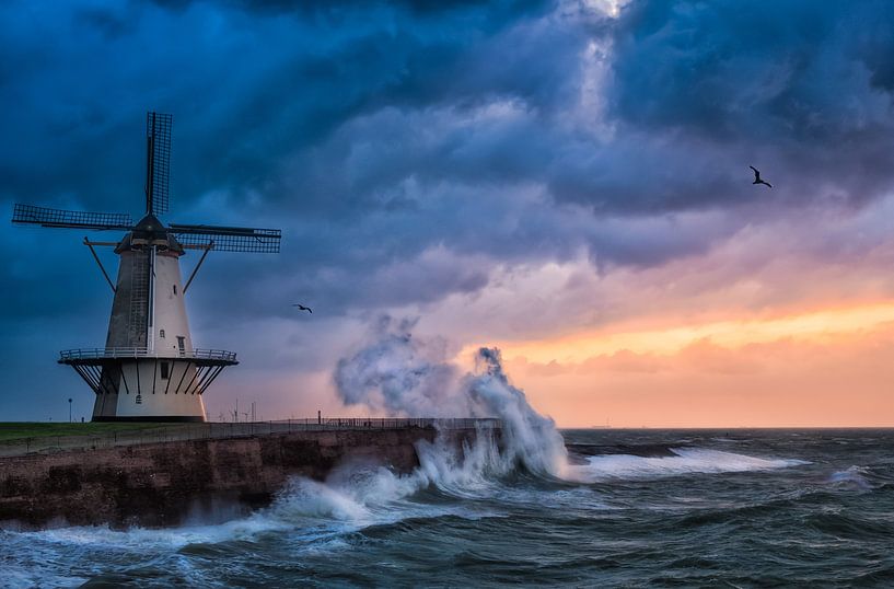 When storm arrives by Sander Poppe