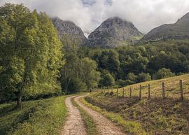 Sentier à travers les bois dans les Picos de Europa, Asturies, Espagne sur PhotoCluster
