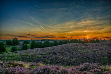 Posbank tijdens zonsondergang / Sunset at the Posbank von Anna Stelloo